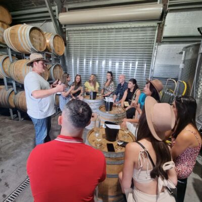 From Sydney: Hunter Valley Wine, Gin & Food Tastings Tour - The Sydney-to-Hunter Valley drive: built-in breaks and guided storytelling