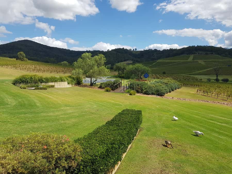 From Sydney: Luxury Hunter Valley Private Tour - Hunter Valley Cheese Company: when food actually helps your wine tasting