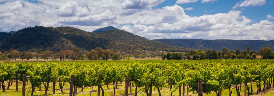 From Sydney: Luxury Hunter Valley Private Tour - The private driver-guide experience: why Kevin’s style matters