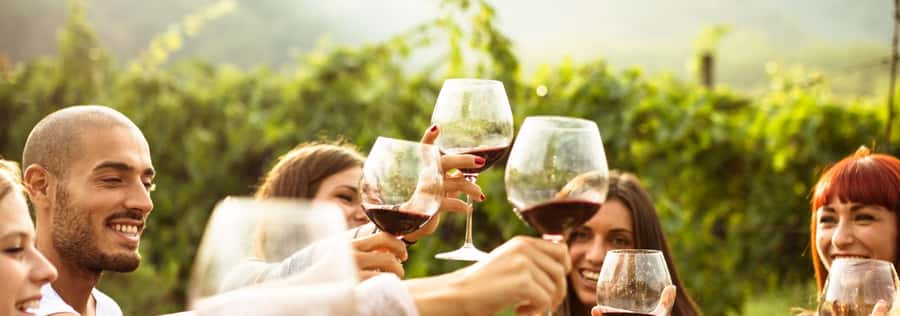 From Sydney: Luxury Hunter Valley Private Tour - Price and value: is $743 per person worth it?