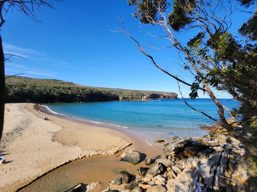 From Sydney: Royal National Park, Wollongong, and Kiama Tour - Key Highlights You’ll Actually Feel