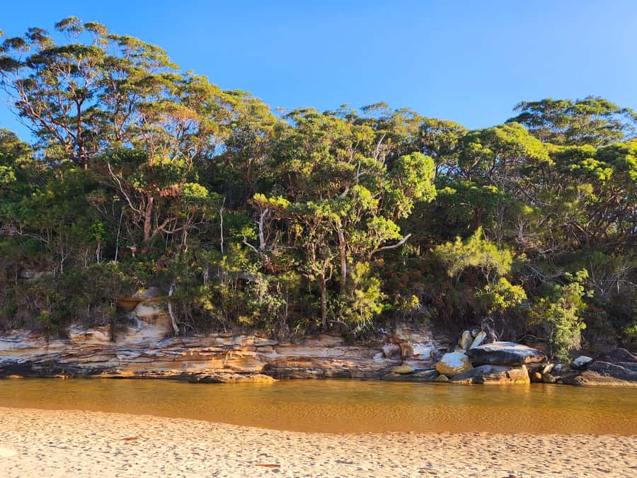 From Sydney: Royal National Park, Wollongong, and Kiama Tour - Bald Hill Lookout and Sea Cliff Bridge: Short Stops, Smart Payoffs