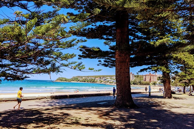 Golden Beaches and Ocean Vistas MANLY AND NORTHERN BEACHES PRIVATE TOUR - Why this Manly and Northern Beaches day works better than doing it solo