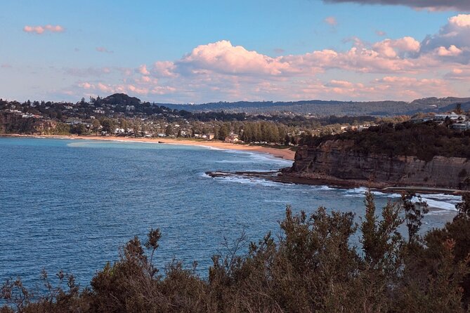 Golden Beaches and Ocean Vistas MANLY AND NORTHERN BEACHES PRIVATE TOUR - Manly Cove and North Head: the rock pools and the cliff-edge hike
