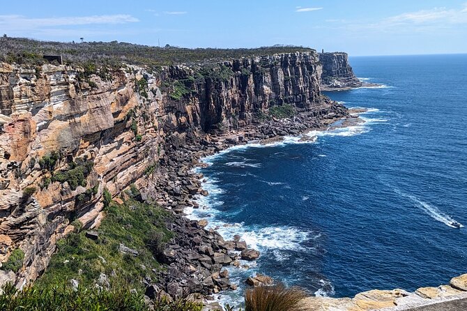 Golden Beaches and Ocean Vistas MANLY AND NORTHERN BEACHES PRIVATE TOUR - Freshwater, Dee Why, and Long Reef Point: surfing roots and sea-life spotting