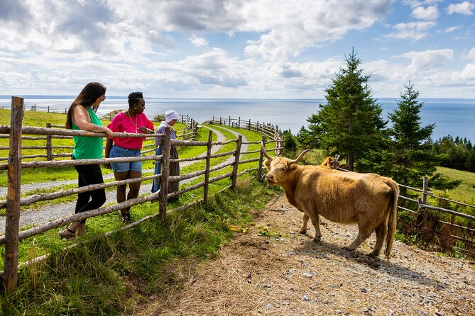 Guided Highland Village and Baddeck Bus Tour for Cruise Excursion - Value check: is $129.91 a good deal for this Cape Breton day?