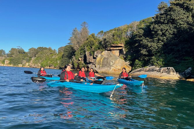 Guided Kayak Tour of Manly Cove Beaches - Key reasons this Manly kayak tour works so well