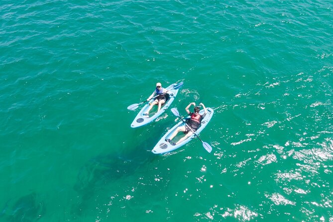 Guided Kayak Tour of Manly Cove Beaches - Quarantine Beach and the Q station area: stroll, coffee, or brave a swim