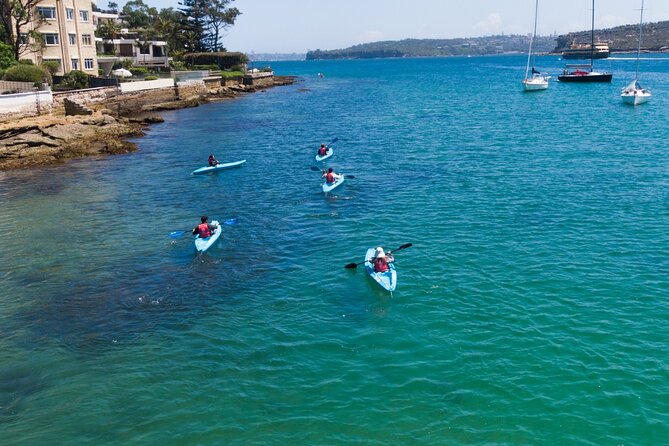 Guided Kayak Tour of Manly Cove Beaches - Store Beach and the relaxed paddle between Manly shores