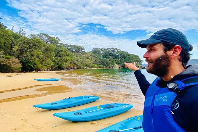 Guided Kayak Tour of Manly Cove Beaches - Price and value: why $68ish can make sense in Sydney