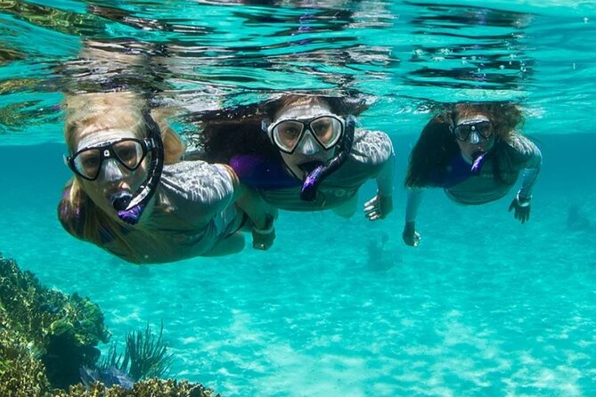 Guided Snorkeling Experience in Bondi - Getting Ready: Gear, Briefing, and an Instructor’s Pace