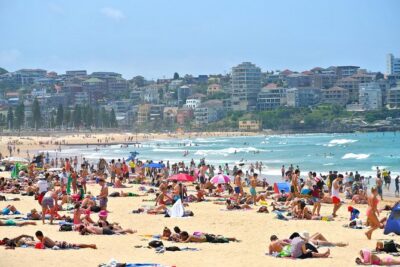 Half-Day or Full-Day Private Guide Hire From Sydney - How the Custom Route Plays Out in Real Life