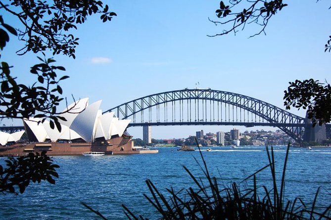Half-Day or Full-Day Private Guide Hire From Sydney - What You’ll Get From the Guide: Friendly, Flexible, and Photo-Ready