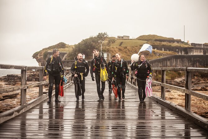 Half-Day Private Discover Dive at Australia's Iconic Beach - Key highlights you’ll feel on the day