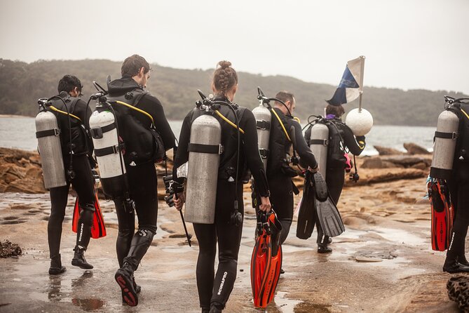 Half-Day Private Discover Dive at Australia's Iconic Beach - What to bring: the stuff that prevents a rough start