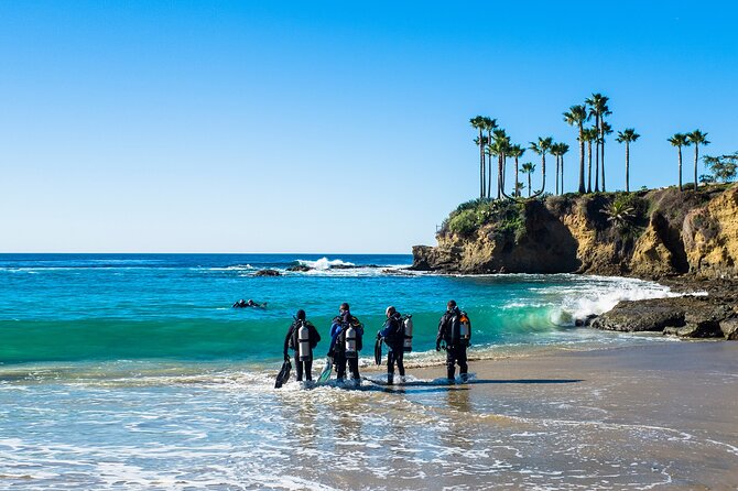 Half-Day Private Discover Dive at Australia's Iconic Beach - Booking smart: mobile ticket, schedule, and weather reality