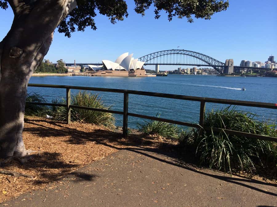 Half Day Small Group : The Story of Sydney Tour - Watsons Bay: coastal views with a break built in