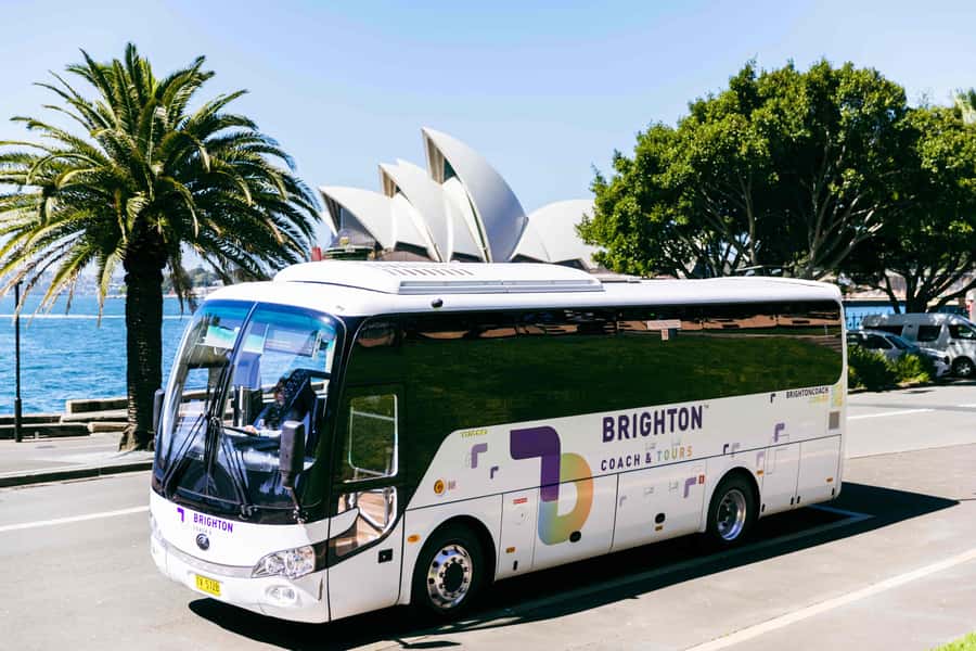 Half Day Sydney Sightseeing Tour - The Rocks & Bondi Beach - What to bring (and what not to) for a smooth Sydney half-day