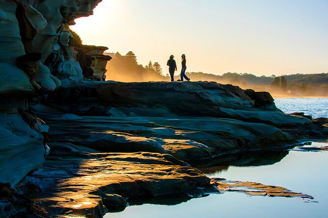 Horse Riding, Koalas & Kangaroos - Wild Australia: Private Tour - Warrah Lookout and flying foxes: wildlife that looks like a sci-fi scene