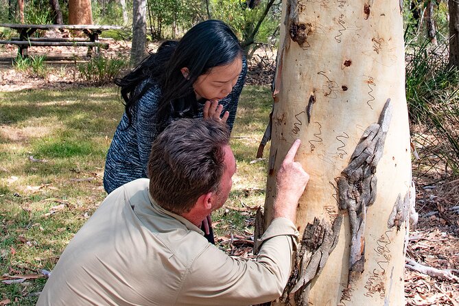 Horse Riding, Koalas & Kangaroos - Wild Australia: Private Tour - Bulgandry Aboriginal Engraving Site: take your time with the details
