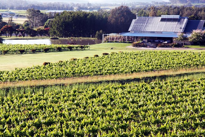 Hunter Valley Private Wine Tasting Tour from Sydney - Key things that make this tour work