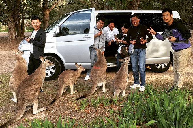 Hunter Valley Private Wine Tasting Tour from Sydney - Winery stop 1: a boutique intro to how wine tasting works