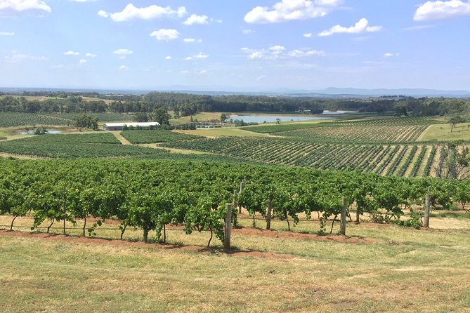 Hunter Valley Wine Tasting Private Tour From Sydney - Getting back to Sydney safely, with an easy exit from the day