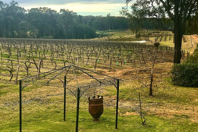 Hunter Valley Wine Tour from Sydney: 3 Wineries & Vineyard Picnic - Guide and group vibe: bilingual help and why it matters