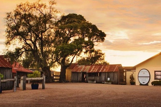 Hunter Valley Wine Tours | Wine Tasting Tours from Sydney - Oakvale Wines in Pokolbin: organic and vegan-friendly wine