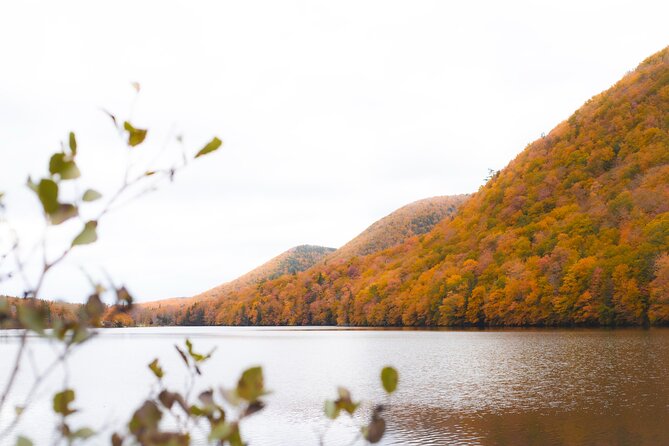 Ingonish and Keltic Lodge 6 Hours Cabot Trail Tour - Key Highlights You’ll Actually Use on the Day
