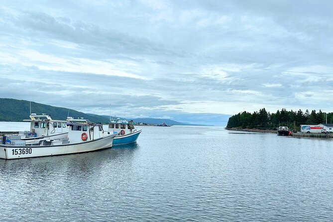 Ingonish and Keltic Lodge 6 Hours Cabot Trail Tour - Price and Value: Is $148.36 Fair for This Day?