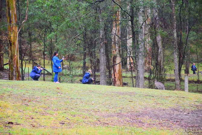 Inside the Greater Blue Mountains World Heritage - A Private Wildlife Safari Overnight - Day 2: Kanangra-Boyd wilderness country and a Botanic Garden reset