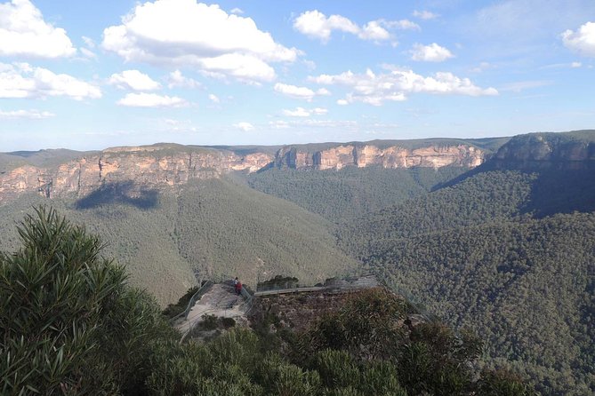 Inside the Greater Blue Mountains World Heritage - A Private Wildlife Safari Overnight - What you can expect for wildlife (and what to do with that expectation)
