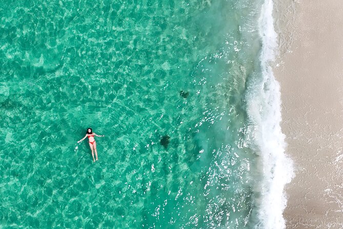 Jervis Bay Highlights Tour – Small Group Experience Scenic Coast - Hyams Beach and the white-sand walk: where the coast turns playful