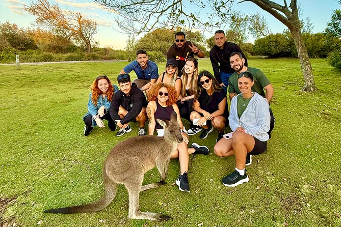 Jervis Bay Highlights Tour – Small Group Experience Scenic Coast - Central Station pickup and how the day runs (7:00 am to evening)