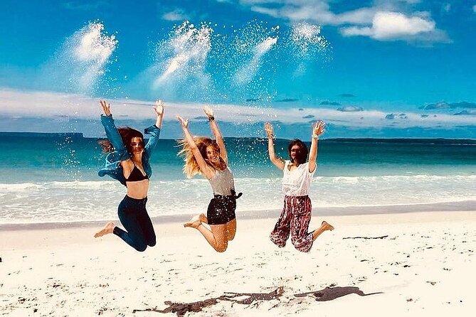Jervis Bay Tour with Dolphins, Kangaroos & World's Whitest Beach - Key things that make this Jervis Bay day trip worth your time