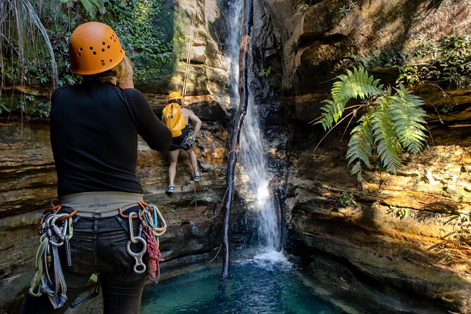 Juggler Canyon and Abseiling Adventure Blue Mountains - First Ropes: From a 5 Metre Abseil to Repeated 15 Metre Runs