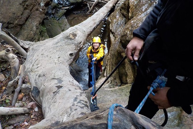 Juggler Canyon and Abseiling Adventure Blue Mountains - Guides and Gear: What Makes This Safer Than It Sounds