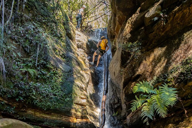 Juggler Canyon and Abseiling Adventure Blue Mountains - Getting Ready: Fitness, Footwear, Water, and Heights