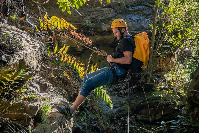 Juggler Canyon and Abseiling Adventure Blue Mountains - Price and Value: What $247.45 Really Buys You