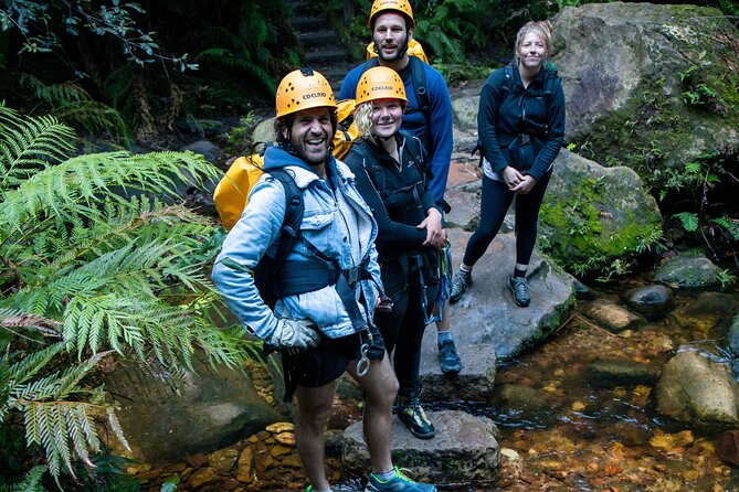 Juggler Canyon and Abseiling Adventure Blue Mountains - Who Should Book This Rope Adventure (and Who Should Sit Out)