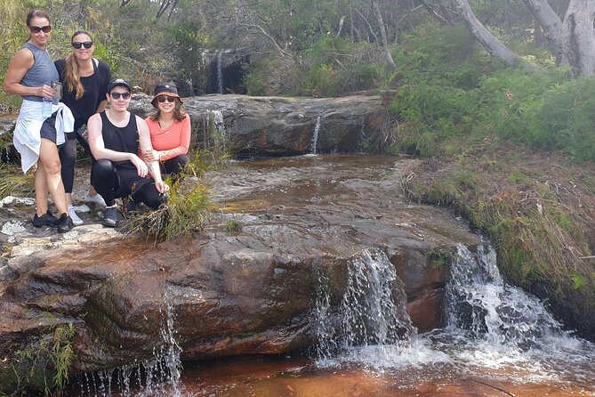 Koala & Kangaroos Experience, Waterfalls and Scenic Train Journey - Woy Woy: a short stop with a big bird moment
