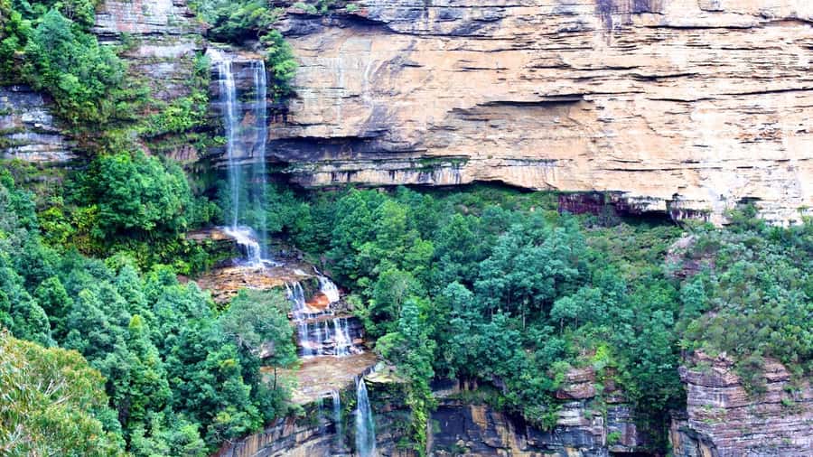 Luxury Blue Mountains Escape The Crowds Tour - The ride from Sydney CBD to the mountains: timing that fits real plans