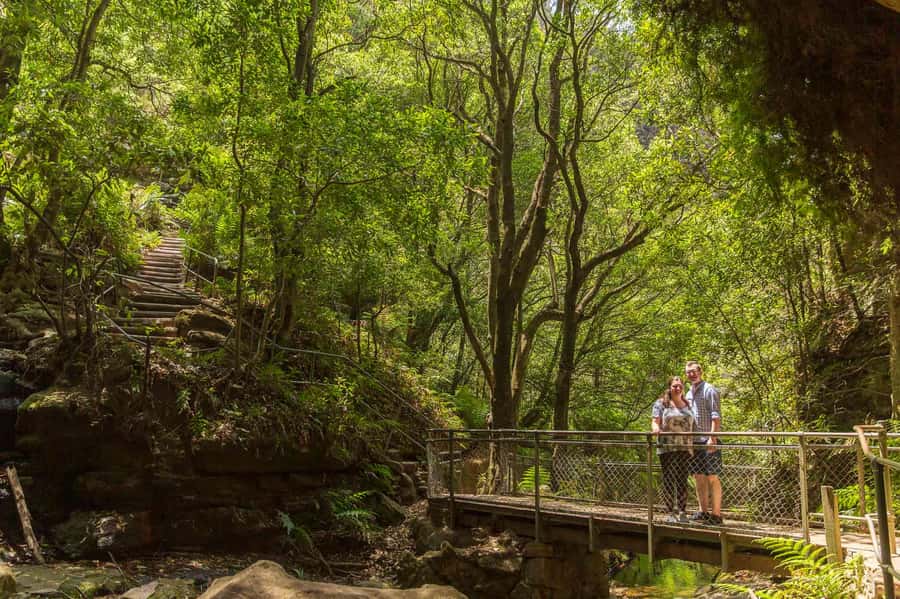 Luxury Blue Mountains Escape The Crowds Tour - Wildlife time: Featherdale in the small-group option