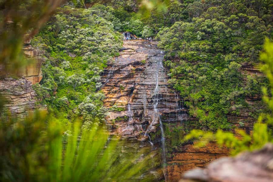 Luxury Blue Mountains Escape The Crowds Tour - Choosing small group vs private: what you gain (and what changes)