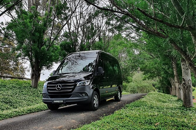 Luxury Mini Bus - Sydney Airport Transfers - Key highlights you’ll care about