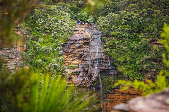 Luxury Small Group of 5 Blue Mountains Escape Tour - Featherdale Sydney Wildlife Park: native animals up close (and included)