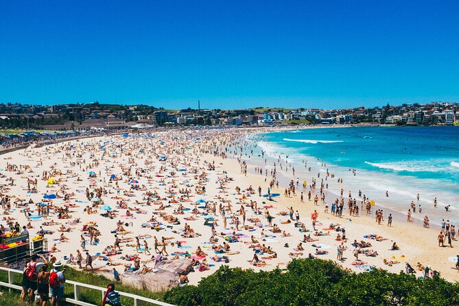 Luxury Sydney Tour - Price and what you’re really paying for