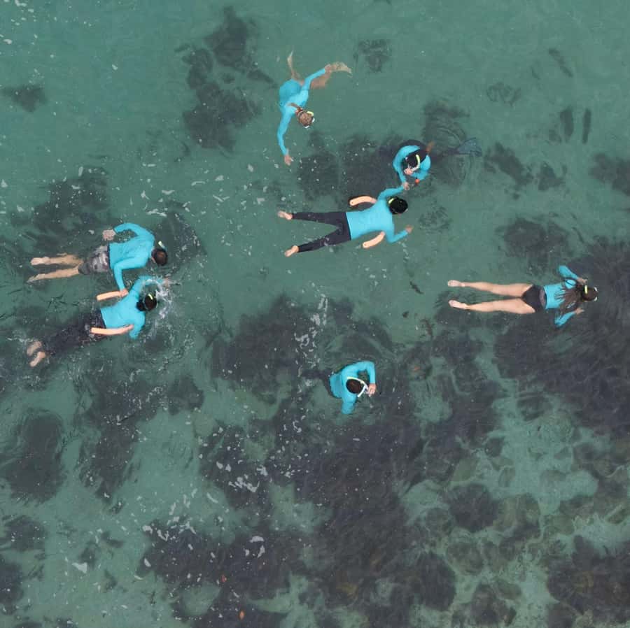 Manly Beach Guided Snorkeling Tours - Gear that’s included (and why it matters for non-swimmers)