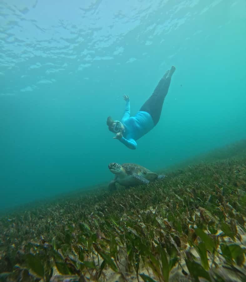 Manly Beach Guided Snorkeling Tours - The 1-hour flow: how the session stays doable